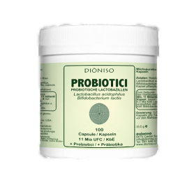 Probiotique + Prébiotique 11 milliards 100 capsules