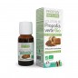 Solution de Propolis Verte Bio hydroalcoolique 20 ml