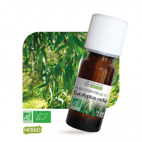 Huile essentielle Bio d'Eucalyptus Radiata 10 ml