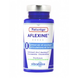 Aflexine Glucosamine et Chondroïtine 90 gélules Naturège