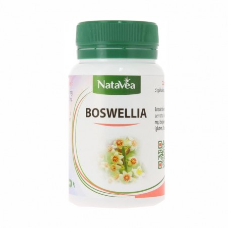 Boswellia Serrata - Extrait dosé à 65% de boswelline